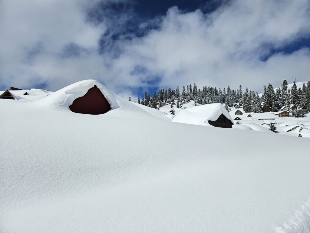 7e50fa11 9232 4b6c 9a2c f35b246f6d98