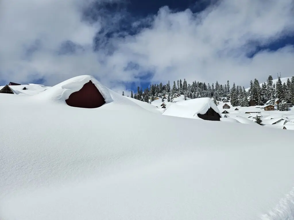 7e50fa11 9232 4b6c 9a2c f35b246f6d98